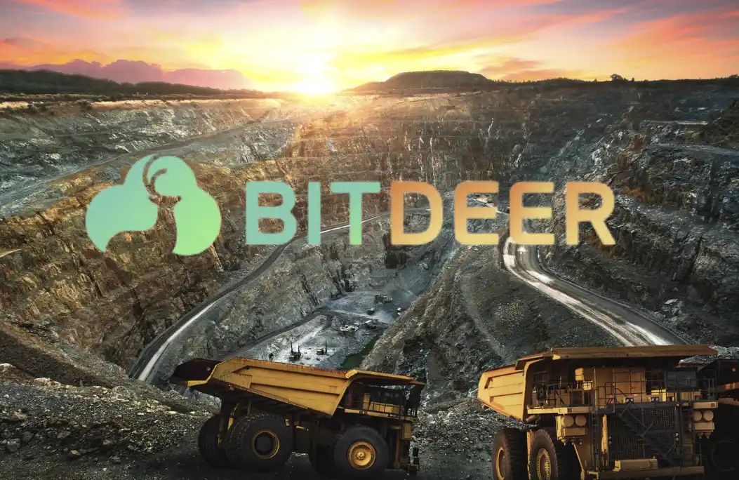 比特小鹿2024 Q2财务分析：总收入9920万美元，同比增长5.8%