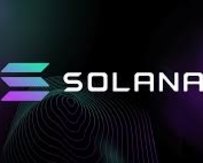 从基础设施层到消费者应用，一览 Solana 生态全景