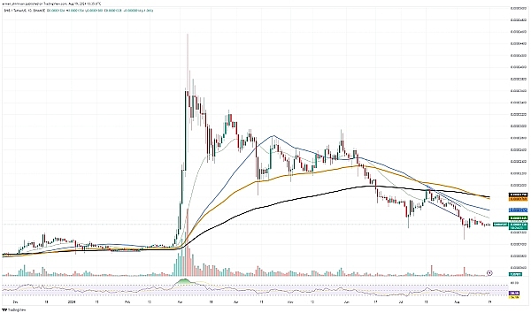 SHIB 2024 年最低水平？发生了什么、XRP 获得黄金交叉、ETH 走错路？