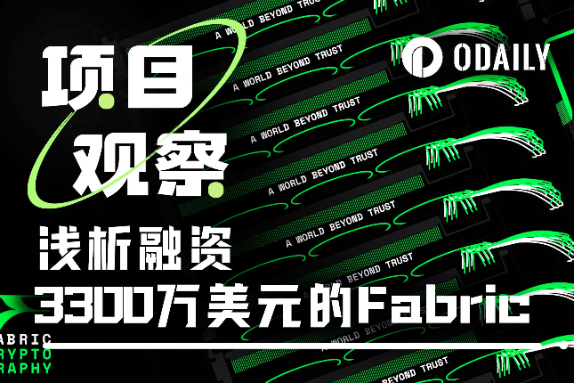 浅析Fabric：融资3300万美元，用硬件解锁加密计算的未来