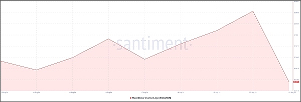 Toncoin疲软致使TON价格承压