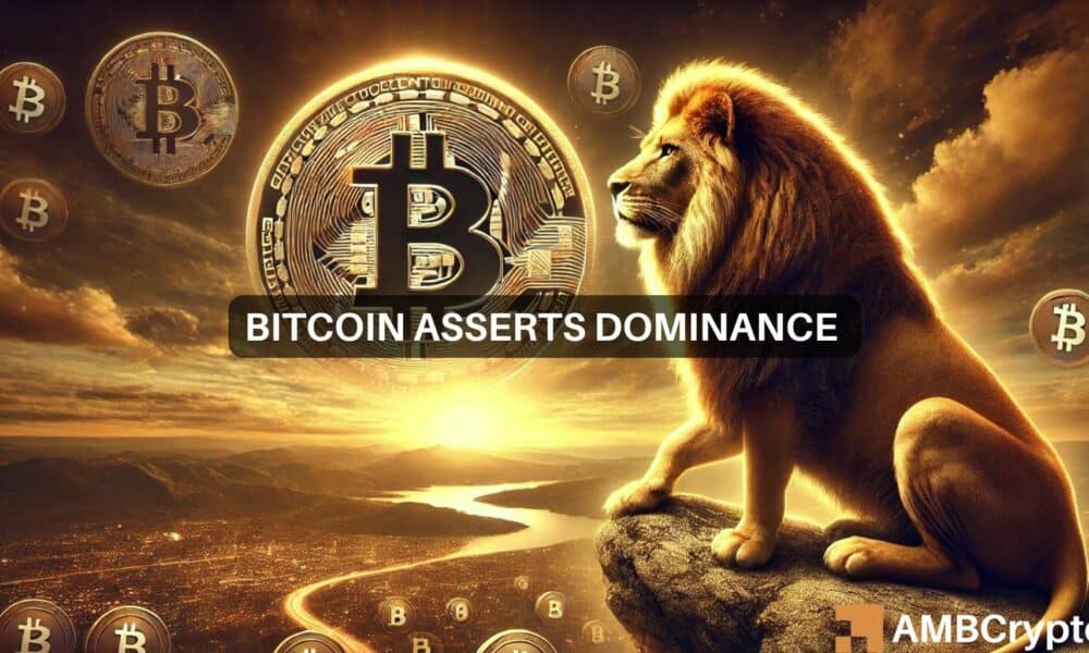 比特币的主导地位达到56%：这对你的资产意味着什么