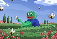 研究了 100 名顶级投资者后，我们找到了可行的代币风险管理策略