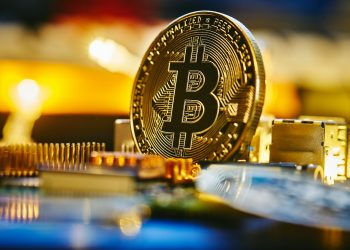Bitcoin Long-Term Holders Exchange Inflows See Notable Drop, What’s Going On?