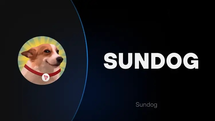 Трейдер увеличил депозит в 104 раза благодаря мемкоину SUNDOG
