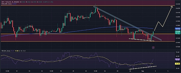 XRP 价格即将飙升？关键指标显示看涨潜力