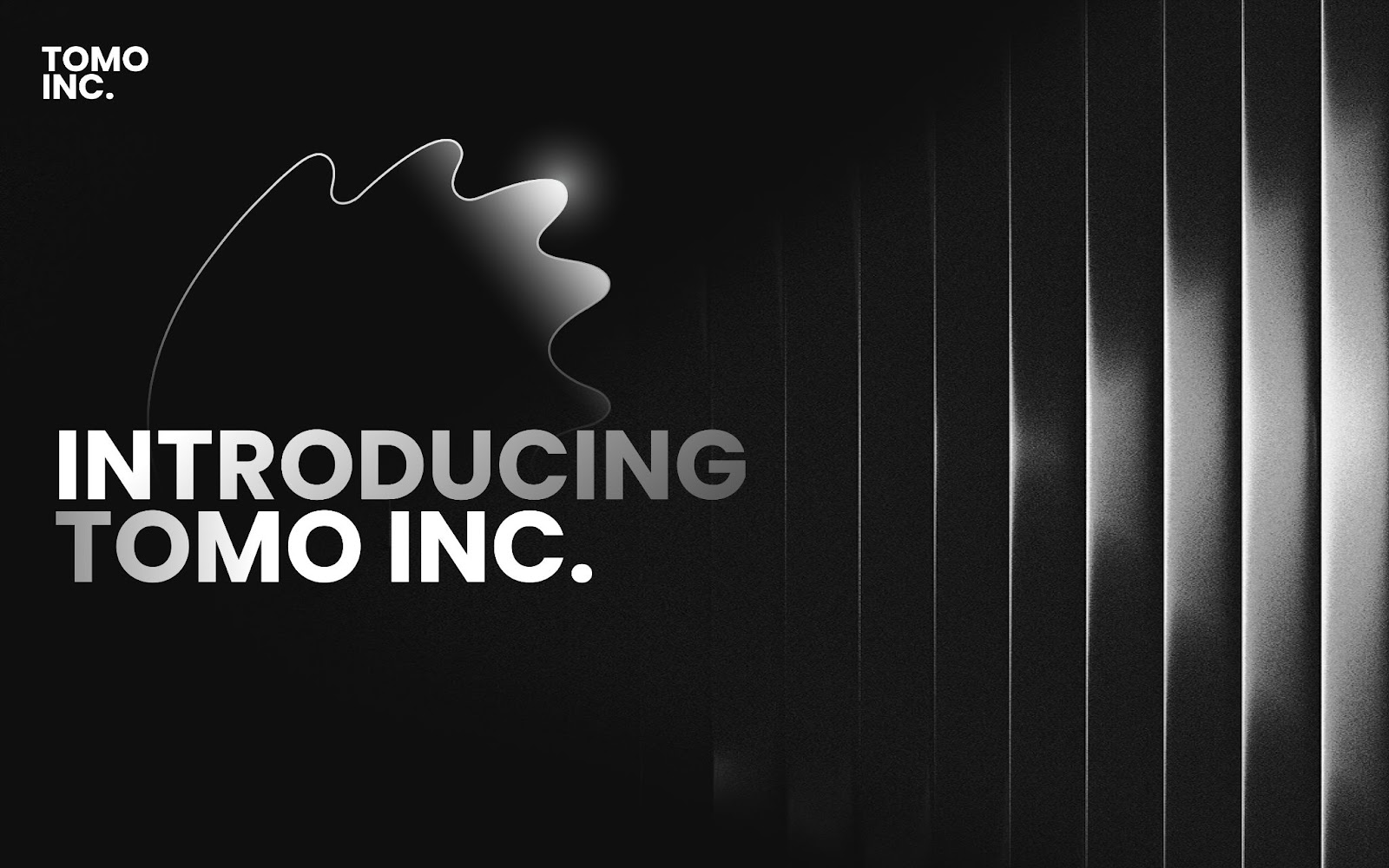 Tomo Inc.：企业消费者解决方案开发公司