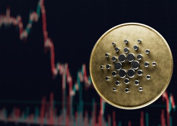 Cardano Joins Ripple, Hedera, And Other Crypto Giants In New Alliance