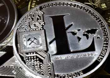 Litecoin Sees Massive Surge In Whale Activity: Price Surge Incoming?