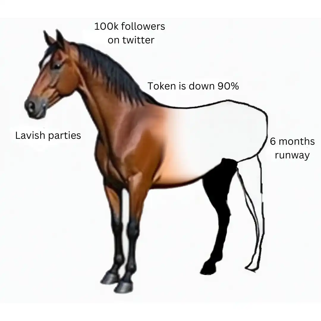 从Paradigm投资到软Rug，Friend.Tech的激荡一年