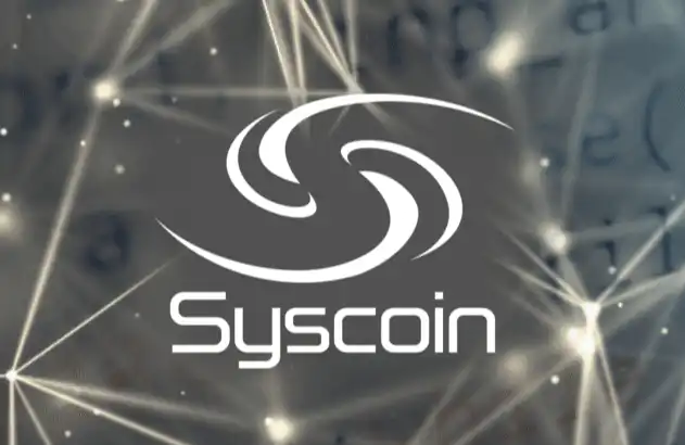 Syscoin Foundation：已向荷兰法院提交答辩声明，以防止董事会成员被非法罢免