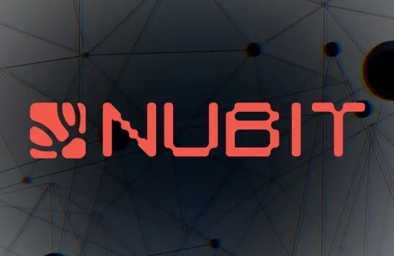 Nubit再出发，读懂「Minichain」背后Web2&Web3融合的增长逻辑