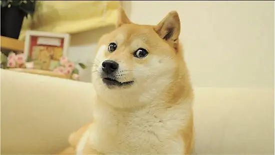 马斯克力挺   狗狗币（DOGE）预计将达到 90 美分：具体时间如下
