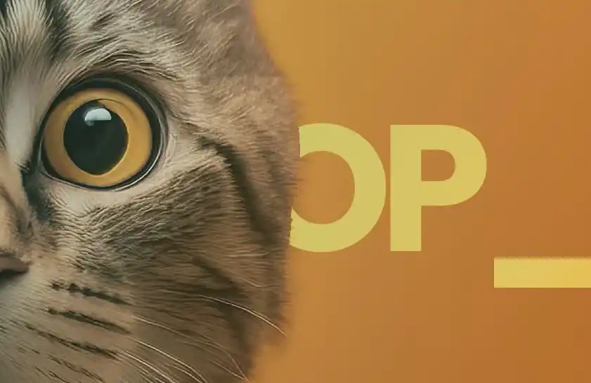 一天3个OP_CAT协议，比特币生态要「变天」了？