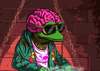 Top 5 Meme Coin Presales That Defy Declining Crypto Market Sentiment
