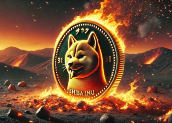 Shiba Inu Team Members Reveals The Best Way To Burn SHIB And Reduce Supply