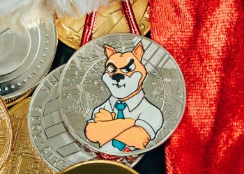 Behind Shiba Inu’s Growth: Team Member Reveals Key To SHIB’s Mysterious Evolution