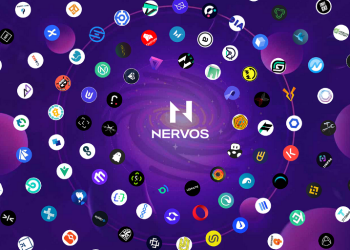 Nervos Network (CKB) Bulls Gravitate Towards Mpeppe After Top Traders Foresee 300% Rally - bitcoinist