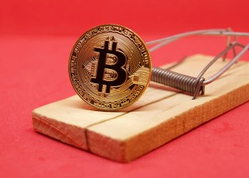 Hacked X Accounts Power Massive Crypto Scam, Blockchain Sleuth Warns