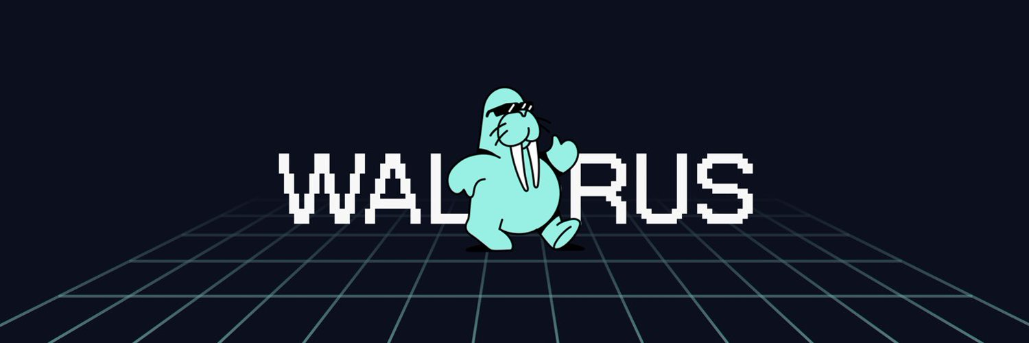 解读 Walrus，Sui 的去中心化存储新解