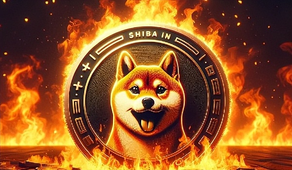 “狗狗币杀手”引发 Meme Coin 狂热  SHIB 销毁率飙升 33000%