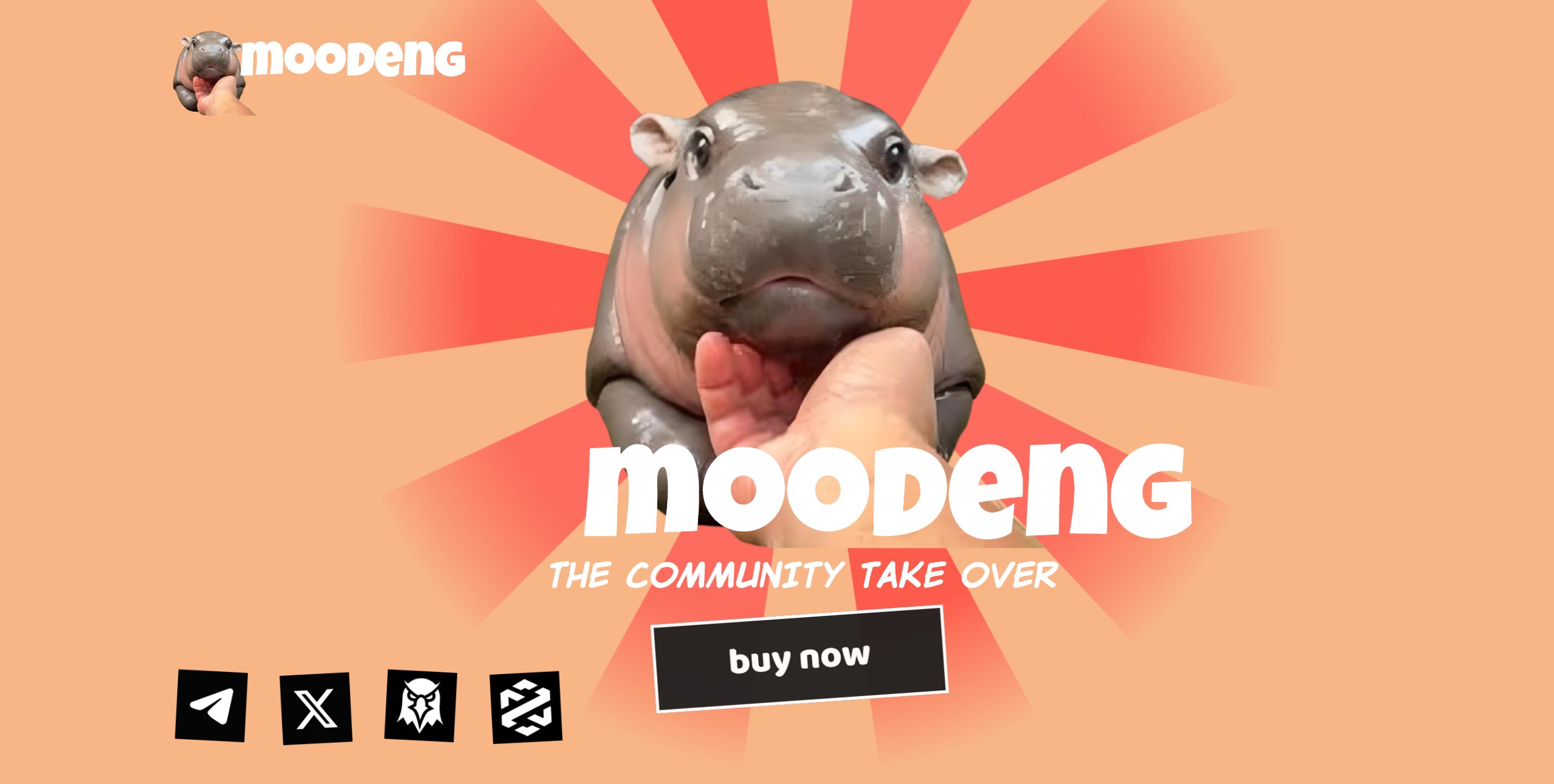 网红河马 MEME 币 MOODENG 暴涨上万倍，带动市场再现动物园行情