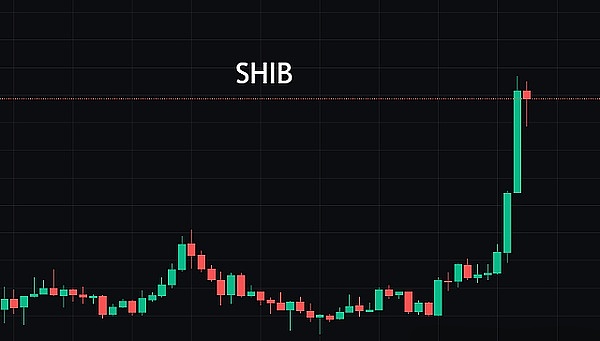 shib疯狂带动市场,接下来黑马是_____?