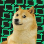 $rdog