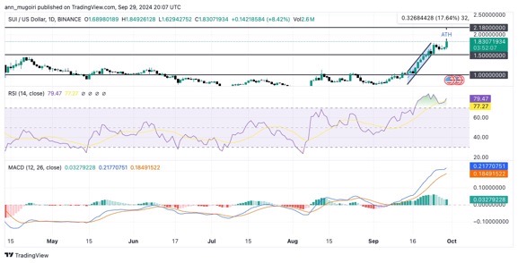 Please check the network&nbsp;connection&nbsp;status