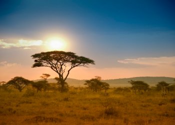 Sub-Saharan Africa’s Crypto Revolution: 40% Of Economy Now In Stablecoins