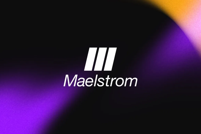 专访Maelstrom：Arthur Hayes家办基金都在买什么？
