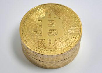 Bitcoin’s Short-Term Holders See Profit Dominance Amid Market Rebound