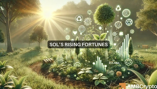 17px Solana 网络使用量创下新高 – 这会帮助 SOL 达到 200 美元吗？