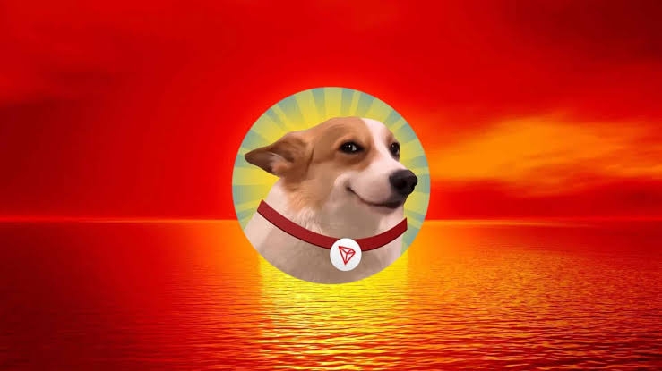 images - 2024-09-28T000403.072.jpeg