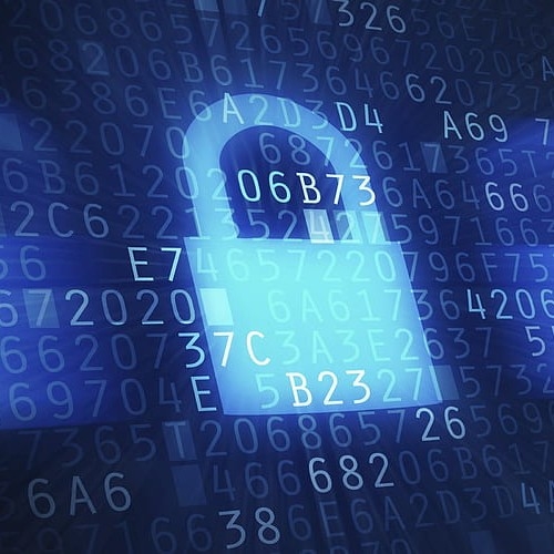 Picture of the author