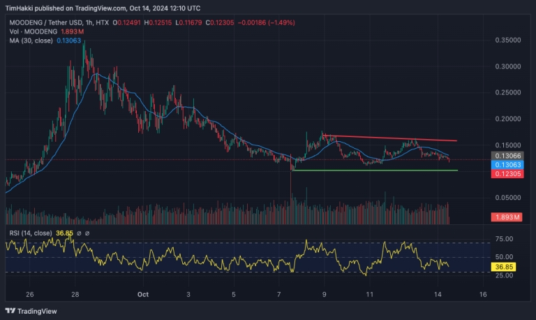 MOODENGUSDT_2024-10-14_13-10-27-1-768x458.png