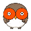 hoot