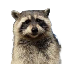 $fred