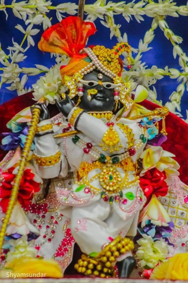 Picture of the author