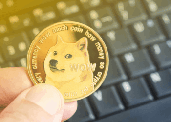 Here’s How Much The Dogecoin Price Will Be With The Market Cap Of Solana