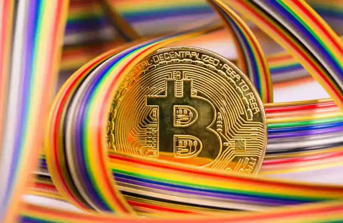 “山寨 312”与“BTC 新高”,谁在崩盘中赚走了你的钱?