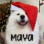 maya