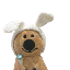 coby