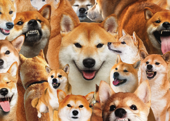 Why Not DOGE? Dogecoin Co-Founder Takes Aim At Bitcoin Reserve Idea