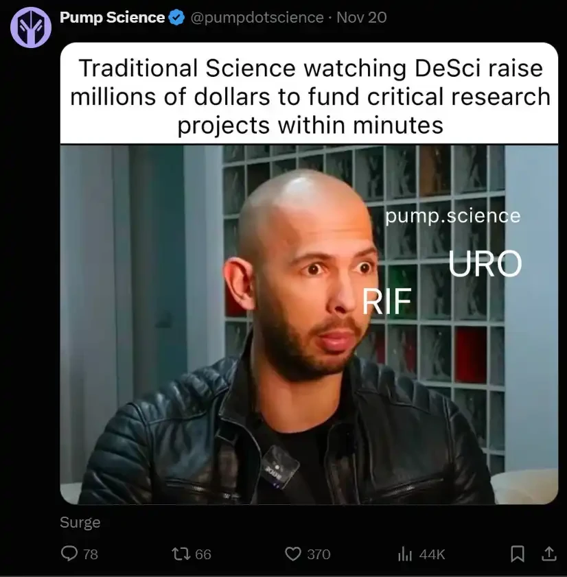 遍地都是千倍机会,最Degen的加密叙事都在发生什么?