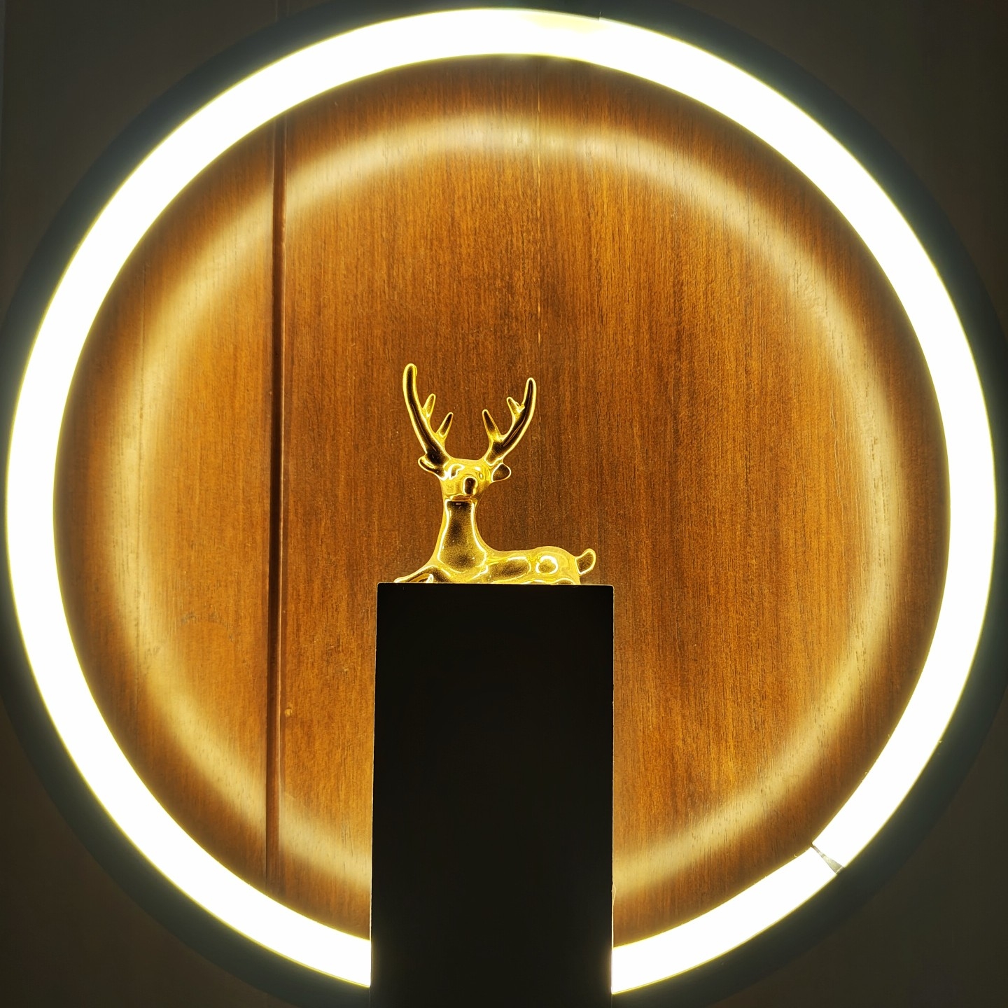 Picture of the author