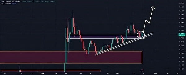 在市场调整之际  TRX已准备好创下历史新高了吗？