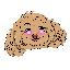 winnie