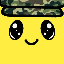 army