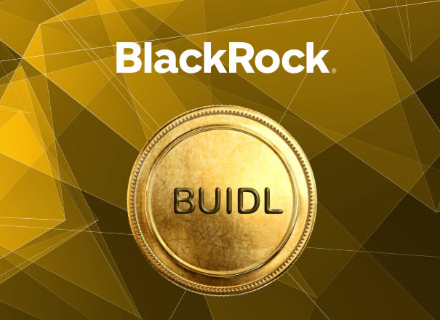 什么是 BUIDL?解析贝莱德参与的去中心化金融